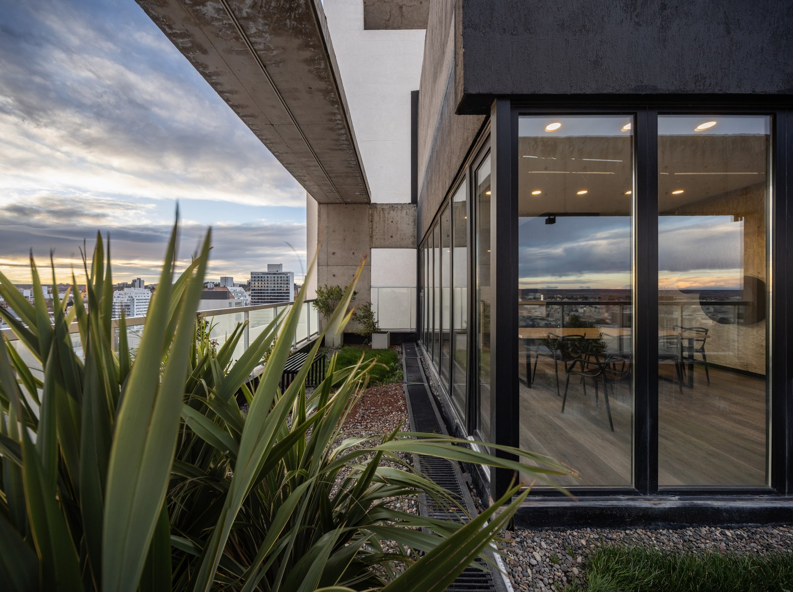 Dommo: Terraza con canteros y el salón detrás del vidrio